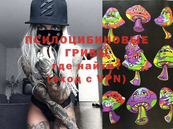 МДПВ Абаза